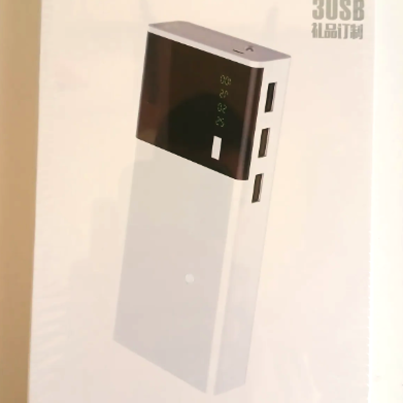 4Power Power Bank H1 USB 3/20000mAh